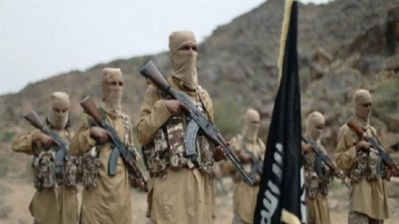 Washington mobilizing, commanding al-Qaeda, Daesh terrorists in Bayda Province: Yemen
