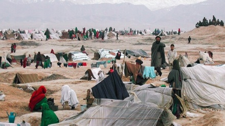 پذیرش واسکان حدود 100هزار پناهجوی افغانستانی درتاجیکستان