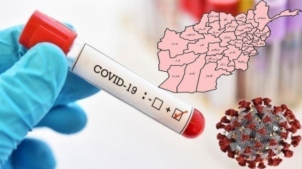 کرونا در افغانستان؛ 1556 مبتلای جدید و فوت 55نفر 