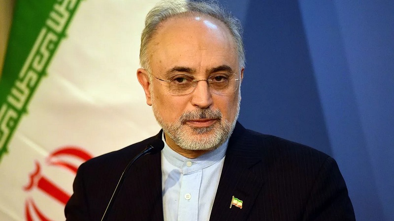 صالحی: دستاوردهای صنعت هسته‌ای ایران بی‌بدیل است
