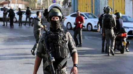 犹太复国主义武装分子拘留了 40 名巴勒斯坦大学生