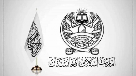 Taliban: IŞİD bizim düşmanımız ve Pakistan ikinci evimiz