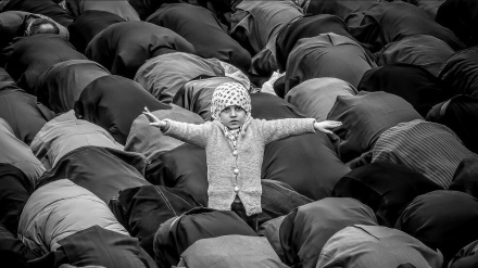 Fotografer Iran Sabet Medali Emas FIAP