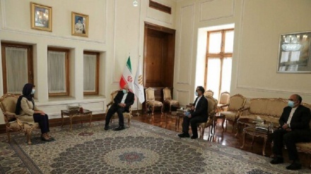 比利时驻德黑兰大使会见扎里夫