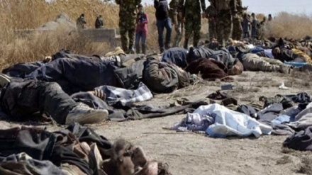 সামরিক অভিযানে চার শতাধিক তালেবান হতাহত: আফগান প্রতিরক্ষা মন্ত্রণালয়