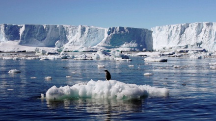 UN confirms 18.3C record heat in Antarctic continent