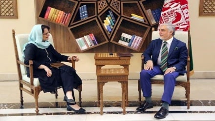 دیدار عبدالله عبدالله با نماینده ویژه سازمان ملل در کابل