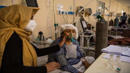 آخرین آمار کرونا در افغانستان/ 1310  مبتلا جدید و فوت  ۵۹ نفر