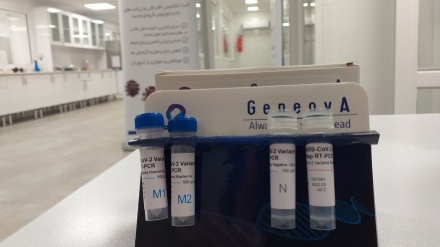 伊朗专家生产基因和新冠病毒检测试剂盒 