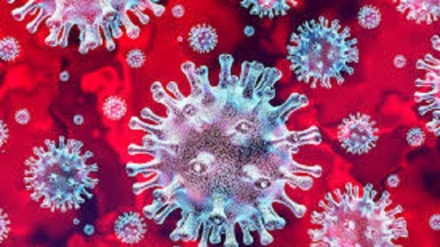 PBB Peringatkan Dampak Pandemi Corona di Dunia