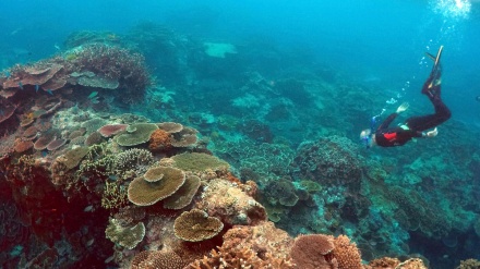 Australia demands world heritage experts visit Great Barrier Reef ahead of ‘in danger’ list decision
