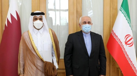 扎里夫同卡塔尔外交大臣举行会晤