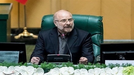 Parliaments playing key role in Muslim unity: Iranian speaker