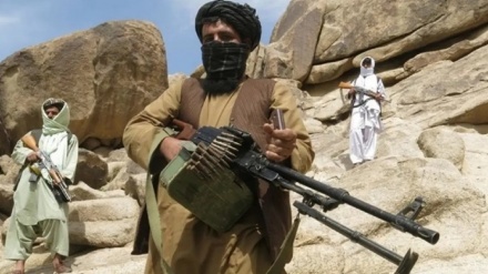  استقبال دولت افغانستان  از اقدام اسماعیل خان برای ایجاد جبهه مردمی علیه طالبان 