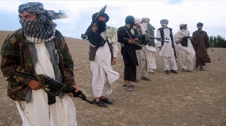  پیشروی طالبان نتیجه شکست آمریکاست