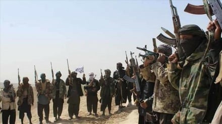 تاکید طالبان پاکستان بر روابط برادرانه با طالبان افغانستان
