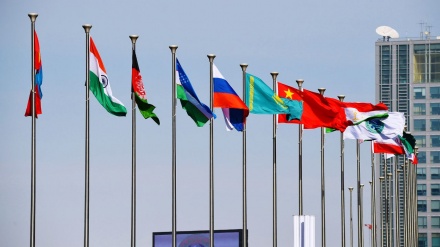 سازمان همکاری شانگهای آماده همکاری با افغانستان
