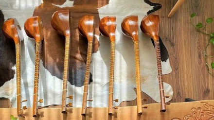 塞塔尔乐器的传统工艺和演奏方法
