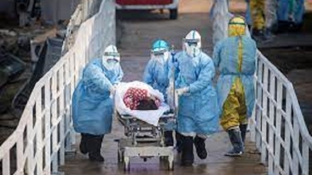 קורונה בעולם:בברזיל: 1,556 בני אדם מתו, 98 בתאילנד