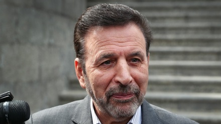 瓦尔基：在制裁解除前保持谈判很重要