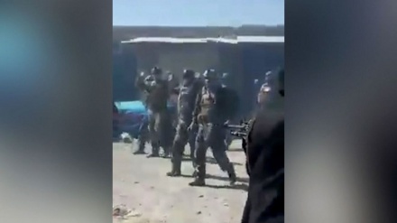 ‘আত্মসমর্পনকারী ২২ আফগান কমান্ডোকে হত্যা করেছে তালেবান’