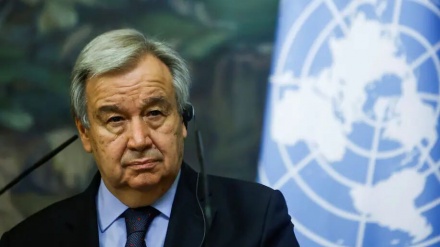 联合国秘书长欢迎阿富汗政府与塔利班谈判