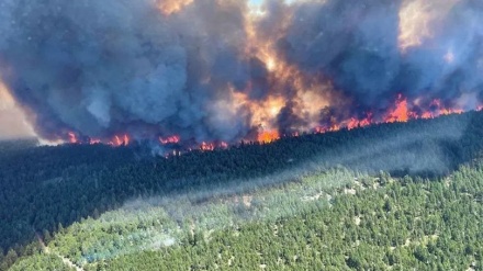 記録的熱波が北米西部に襲来、カナダでは約５００人が死亡