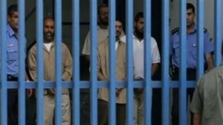 15名巴勒斯坦囚犯在以色列政权监狱绝食