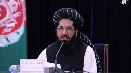تاکید اعضای شورای سراسری علمای افغانستان بر توقف جنگ در این کشور