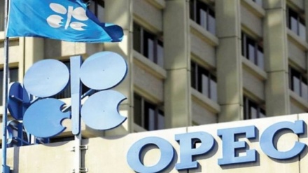 Bie me 0.35 dollar çmimi i naftës së OPEC