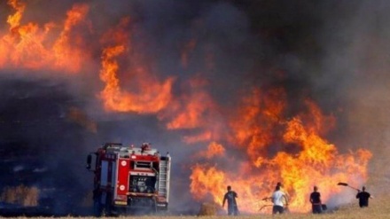 Quatre colonies sionistes en feu