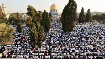 فریاد حمایت فلسطینی ها از مقاومت در مسجدالاقصی 