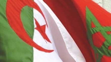 Pegasus: l’Algérie condamne!