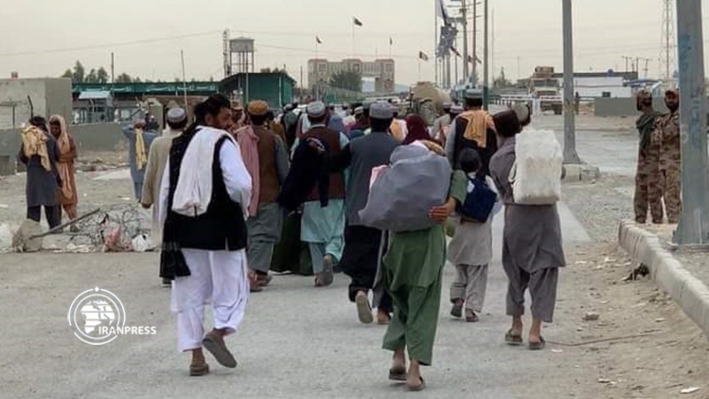 سازمان ملی مهاجرت ایران: جلوگیری از آوارگی‌های جدید اتباع افغانستانی مورد توجه قرار گیرد