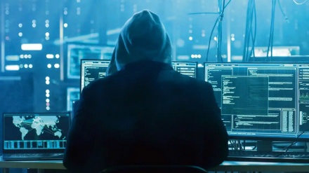 美国1500家企业受到网络攻击的影响