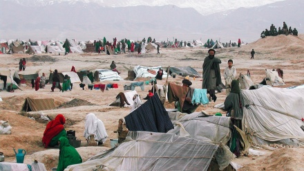 最近四个月的阿富汗战争导致约 36,000 个家庭流离失所