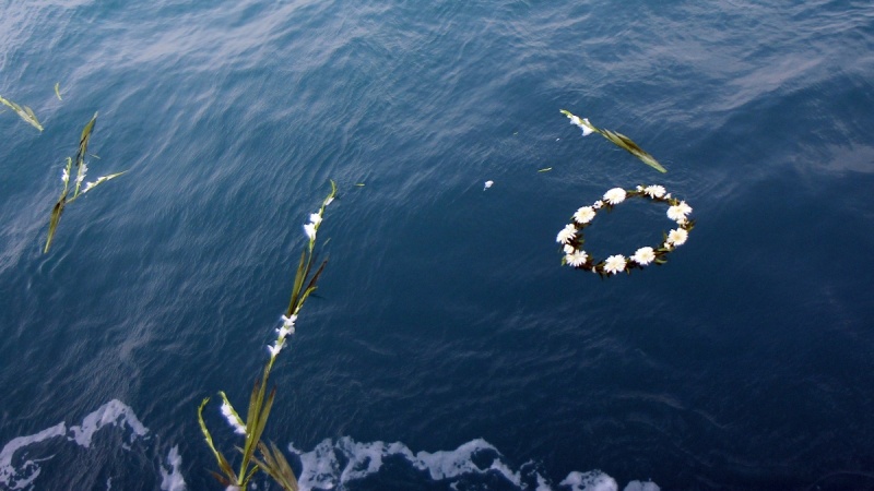 ペルシャ湾内の当時の事故現場海域での献花