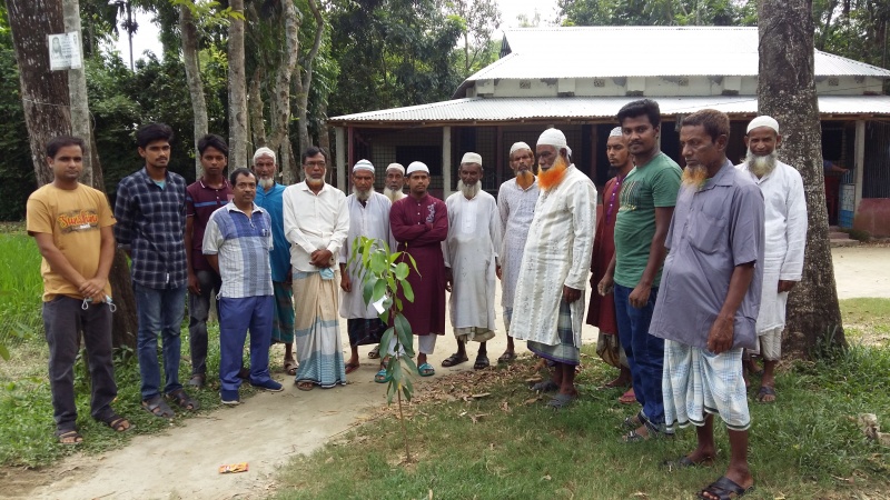 আইআরআইবি ফ্যান ক্লাব কিশোরগঞ্জের উদ্যোগে বৃক্ষরোপন কর্মসূচি পালিত