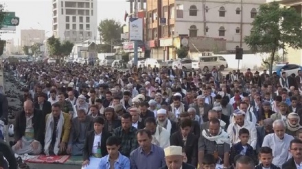  Yemenis gather in front of UN office, urge pressure on Riyadh to lift siege 