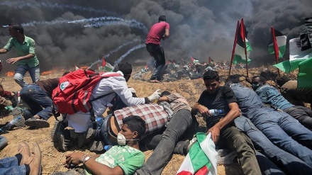 168 palestinezë plagosen gjatë sulmit të forcave sionist në Bregun Perëndimor