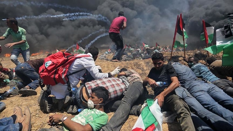 168 palestinezë plagosen gjatë sulmit të forcave sionist në Bregun Perëndimor