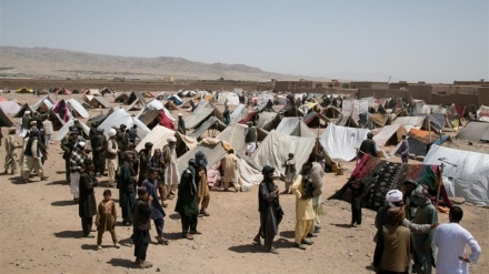 アフガニスタンで、戦闘が激化し難民数が増加