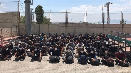 دستگیری 113 مهاجر غیرقانونی افغان در استان وان ترکیه