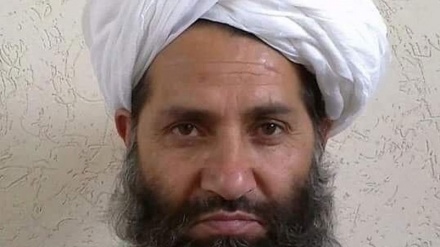 Hamu ya wanamgambo wa Taliban ya kutatuliwa matatizo ya Afghanistan kupitia njia ya mazungumzo 