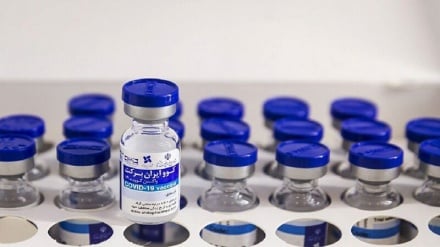 “Cov-Iran Barkat”疫苗正在世界卫生组织注册