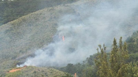 米軍キャンプ・ハンセン内で山火事が発生、今年6度目