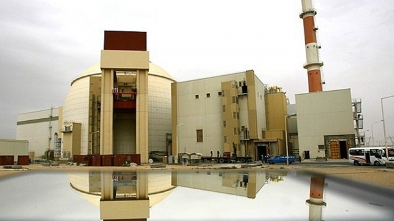 reaktor nuklir Iran, Bushehr