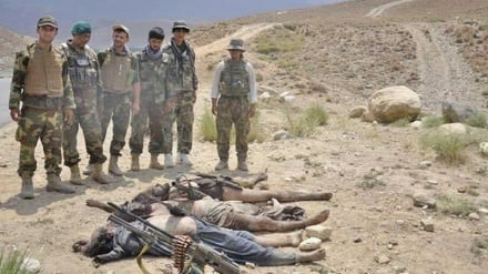 Vriten shumë anëtarë të grupit Taliban në Afganistan