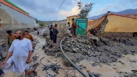 تخریب دهها منزل مسکونی براثر جاری شدن سیل در ولایت ننگرهار 