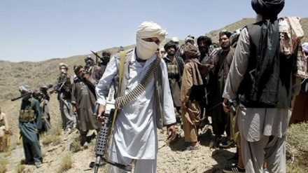 আফগানিস্তানের ১৩ প্রদেশে সেনা অভিযানে ২৬৯ তালেবান নিহত
